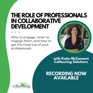 The Role of Professionals in Collaborative Development