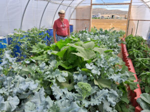 Utah OSR Land Co-op at Riverbed Ranch