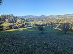 Southern Sonoma County Cohousing