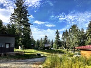 Upper Langley