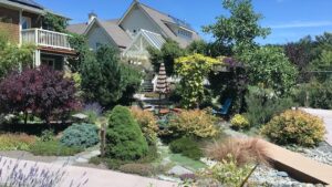 Bellingham Cohousing