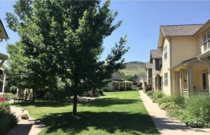 Lyons Valley Village