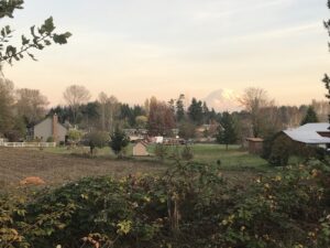 Puyallup Cohousing