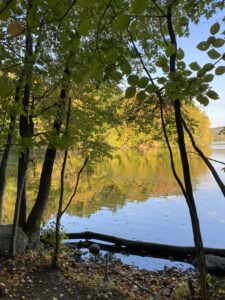 Twin Ponds