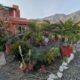 2 bedroom 2 bath home Rental across from Lake Chapala in our beautiful CoHousing community