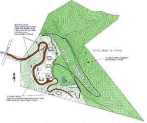 Trillium Creek
